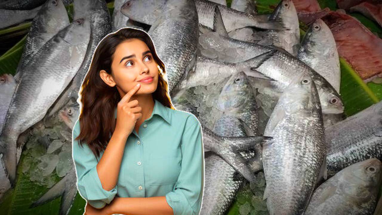 Hilsa