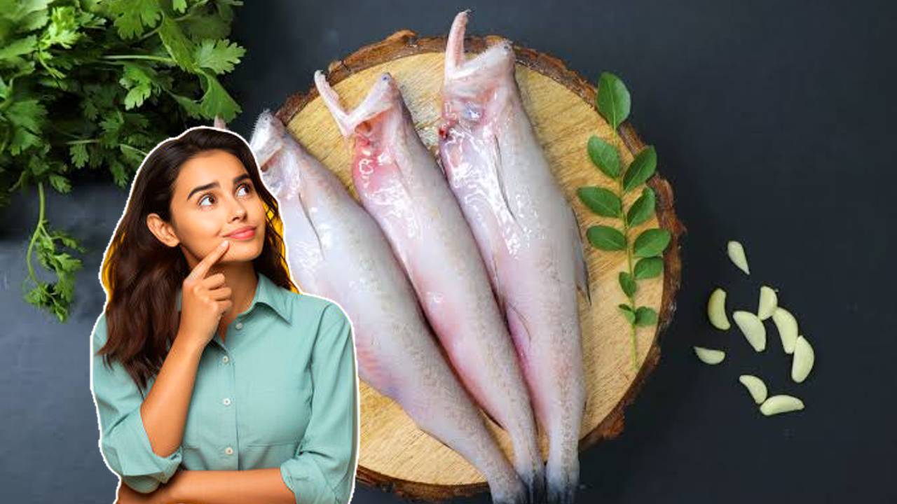 Bombay Duck Fish