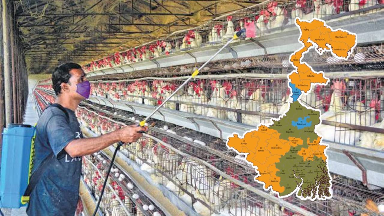 Bird Flu,West Bengal,Chicken,Poultry,Kolkata