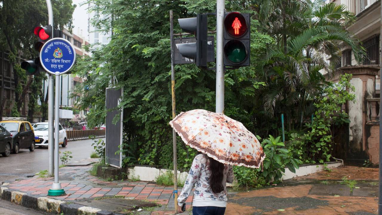 Traffic Signal,Unknown Fact,Bhutan,Traffic light,Traffic