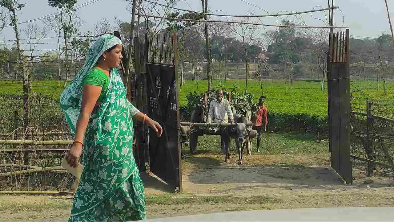 bangladesh india border