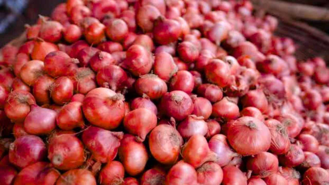 onion price