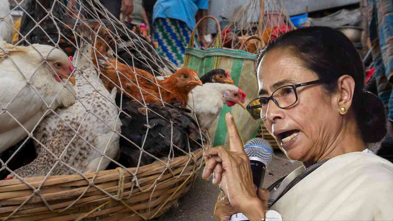 chicken mamata nabanna