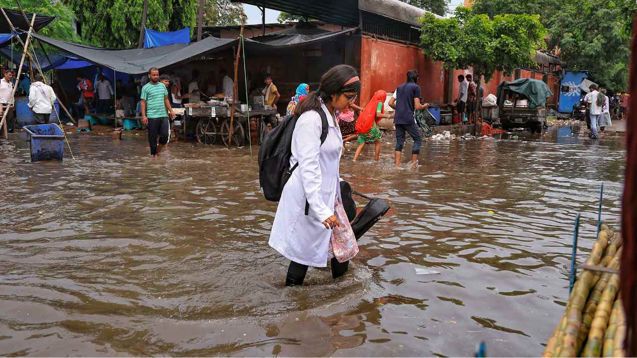 nimnochap weather wb rain