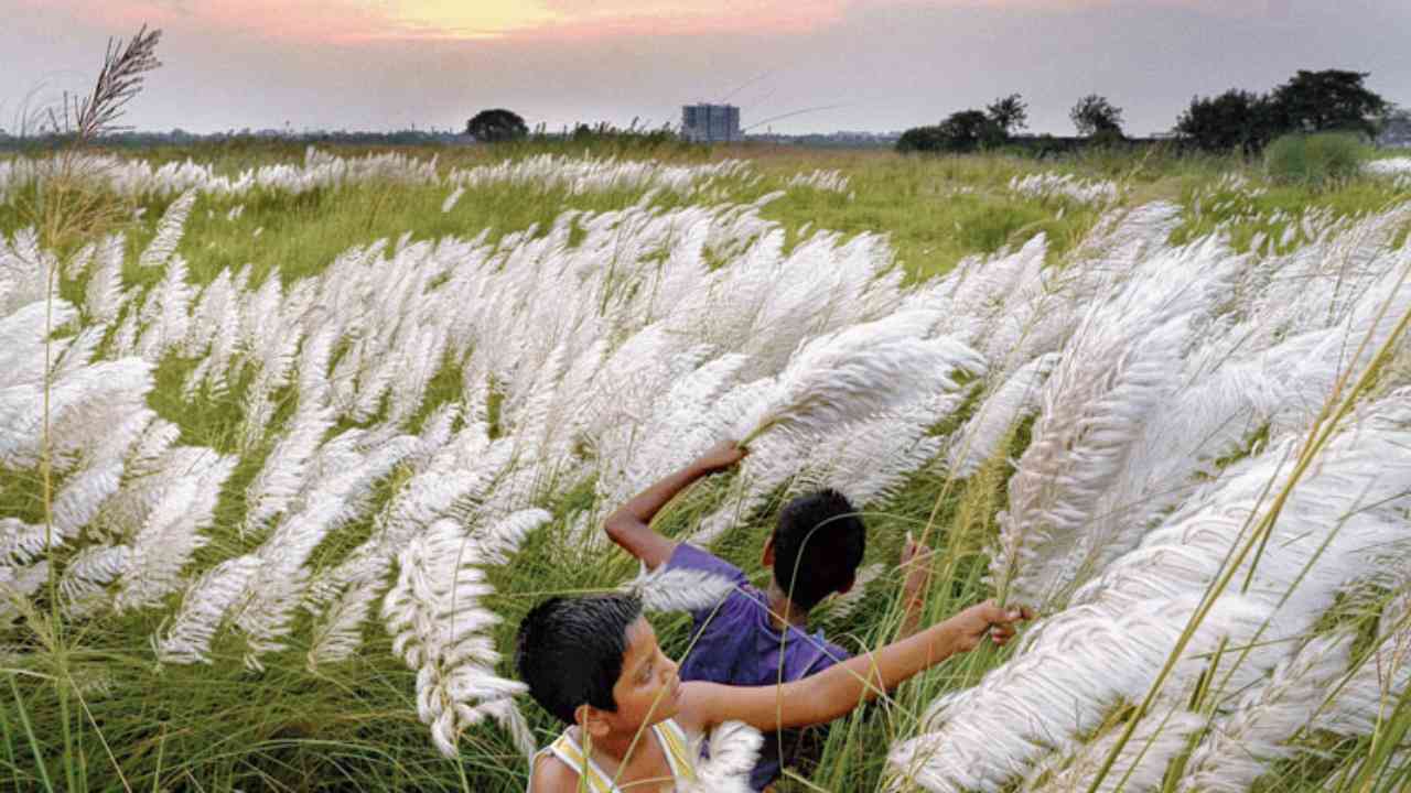 south bengal weather